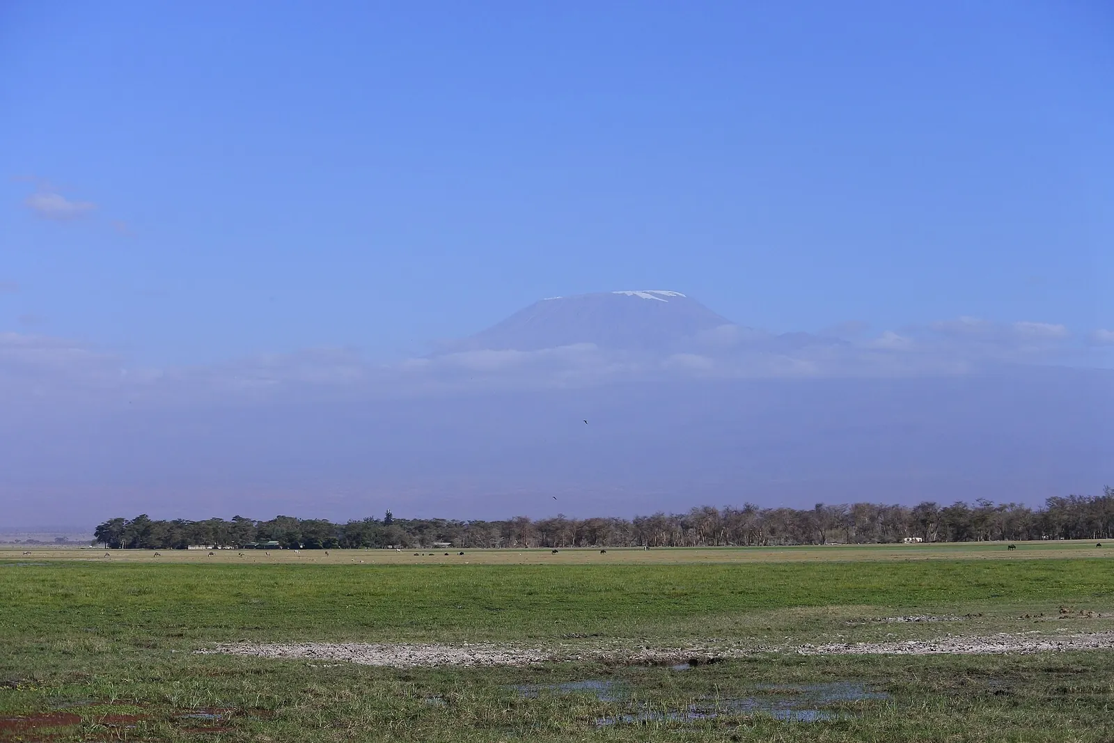 Landscapes of Amboseli NP 03.jpg