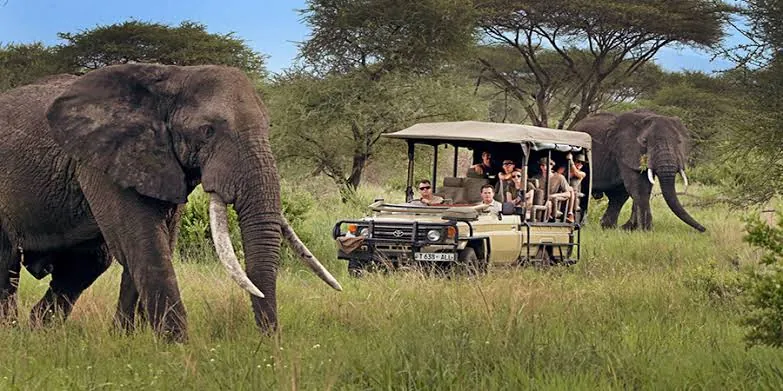 Kenya Safari Budget Guide