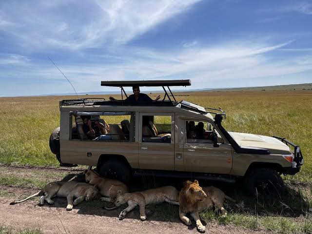 3 Days Maasai Mara Group Joining Safari