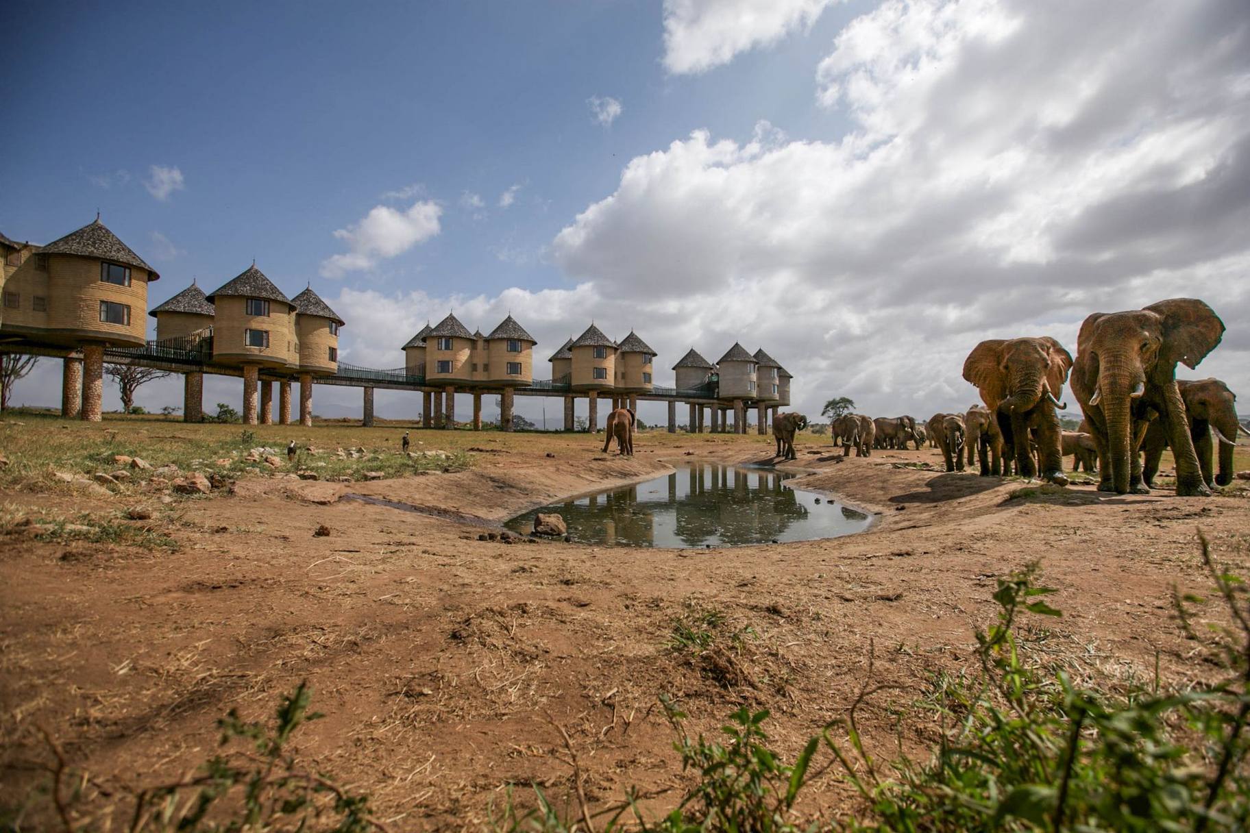 3 Days Tsavo East and Salt Lick Safari