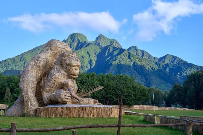 5 Days Rwanda Gorilla Trekking Safari