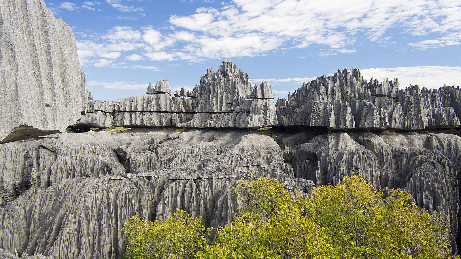 6 Days Madagascar Tsingy and Baobabs Tour: Kirindy Forest Adventure