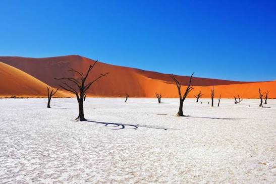 6 Days Namibia Scenic Escape: Desert, Culture and Coast