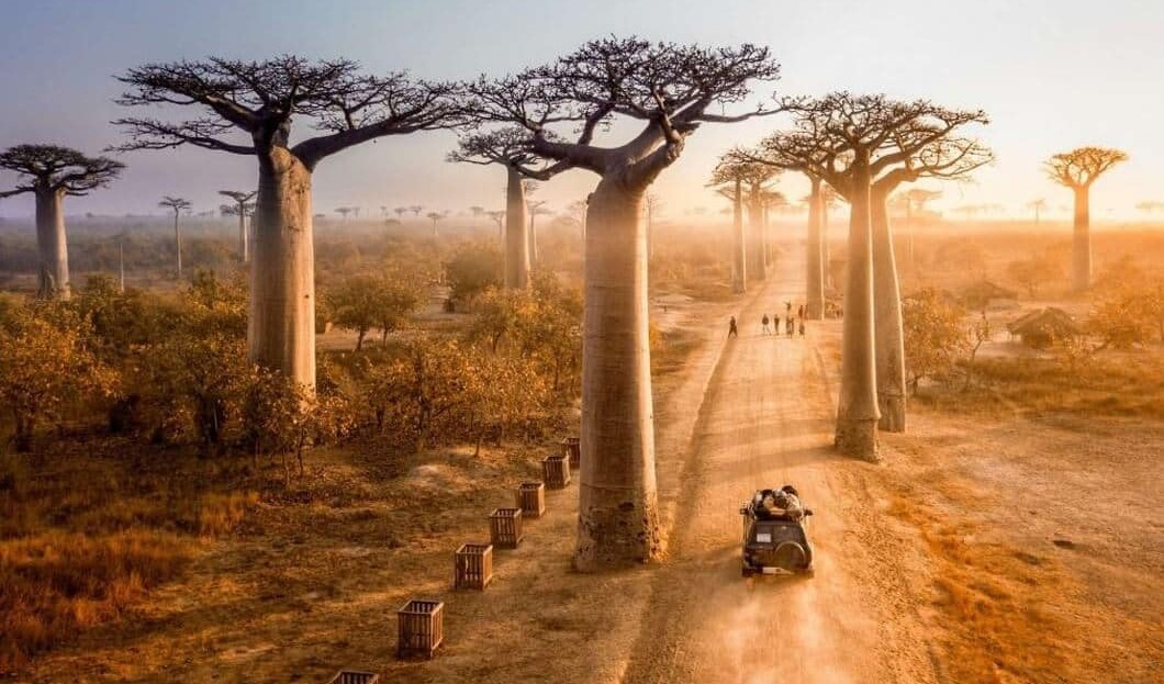 8 Days Madagascar Baobabs and Lemur Safari – West and East Adventure